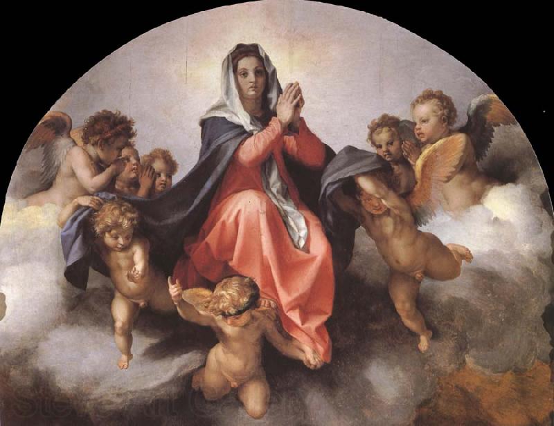 Andrea del Sarto Details of the Assumption of the virgin Norge oil painting art
